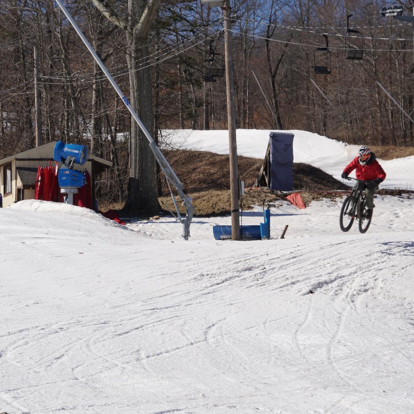 Snow race (February 2019)