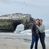 Natural Bridges State Beach