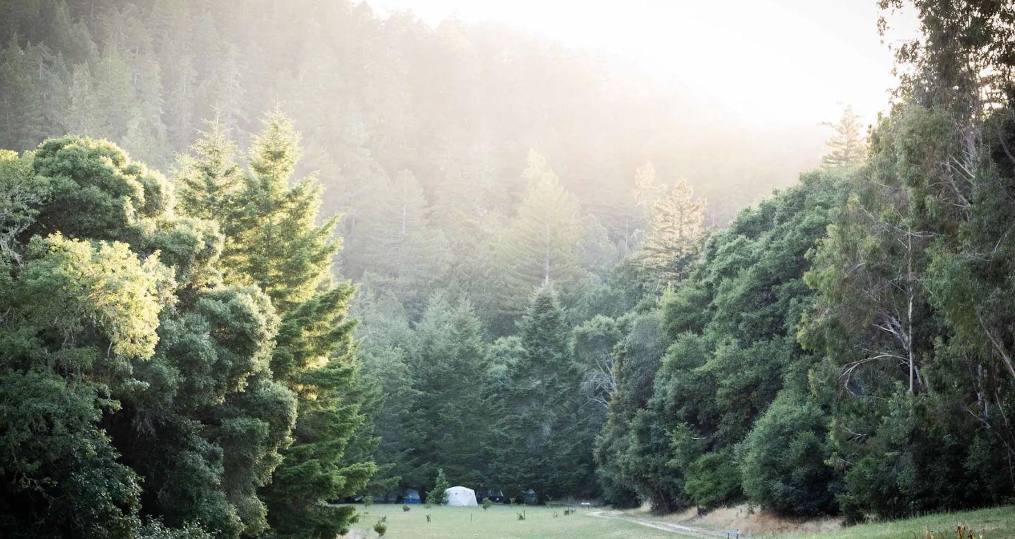 The Wedding Website of Samuel Burris DeBoskey and Justine Kiva Epstein