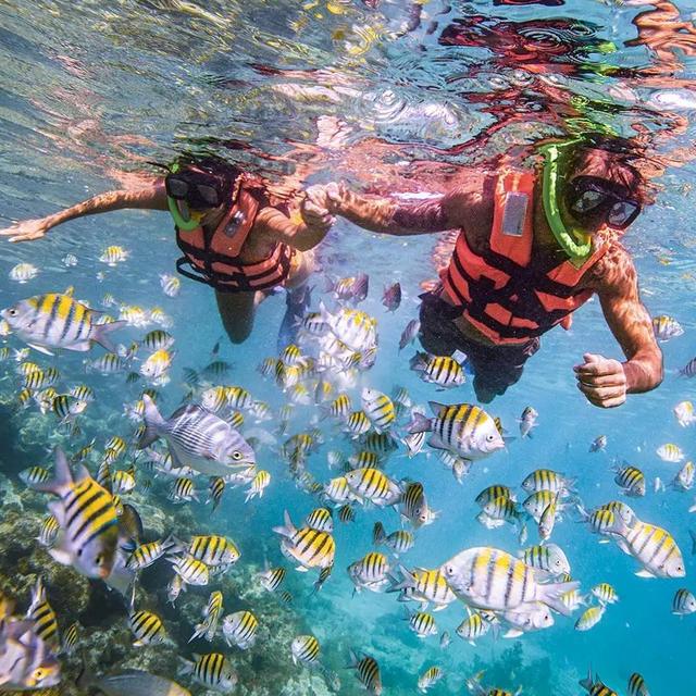 Snorkeling for two