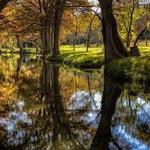 Cypress Creek Nature Preserve