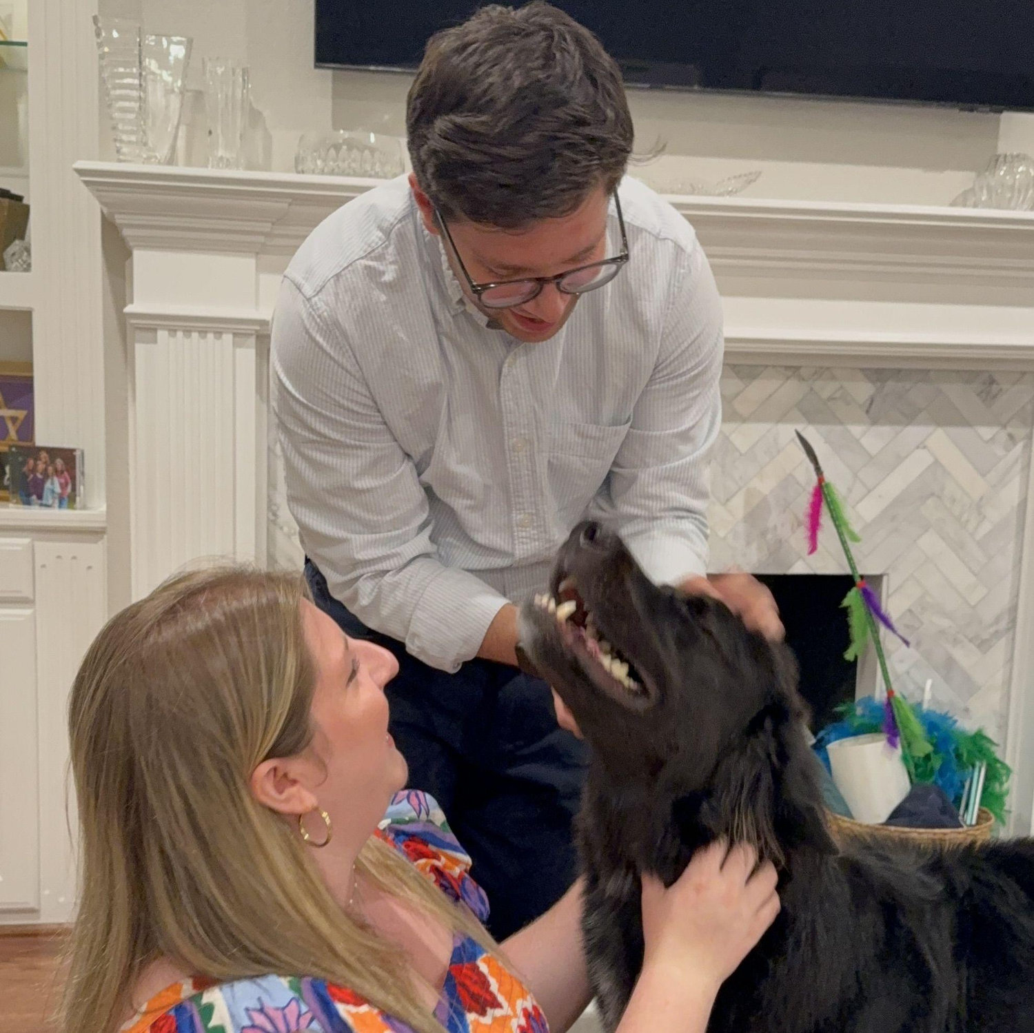 October 2025 - Celebrating Bentley's 2nd Gotcha Day!