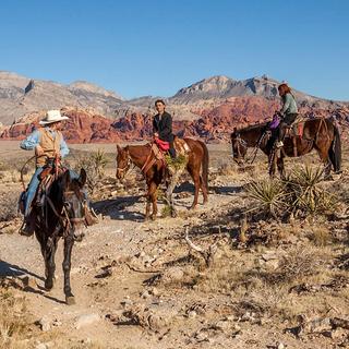 Guided Canyon Trail Ride - Las Vegas