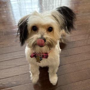 Treats