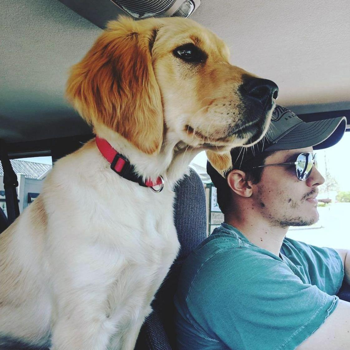 March 2020 - On a whim, we bought Ziva from a guy in the Walmart parking lot. At breakfast that morning, we were talking about spontaneity. When to the store for groceries, came home with this pup!
