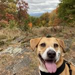 Olivia's Overlook