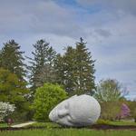 The Morton Arboretum