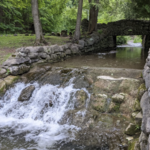 Elmwood Park