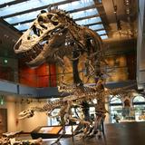 Natural History Museum of Los Angeles County