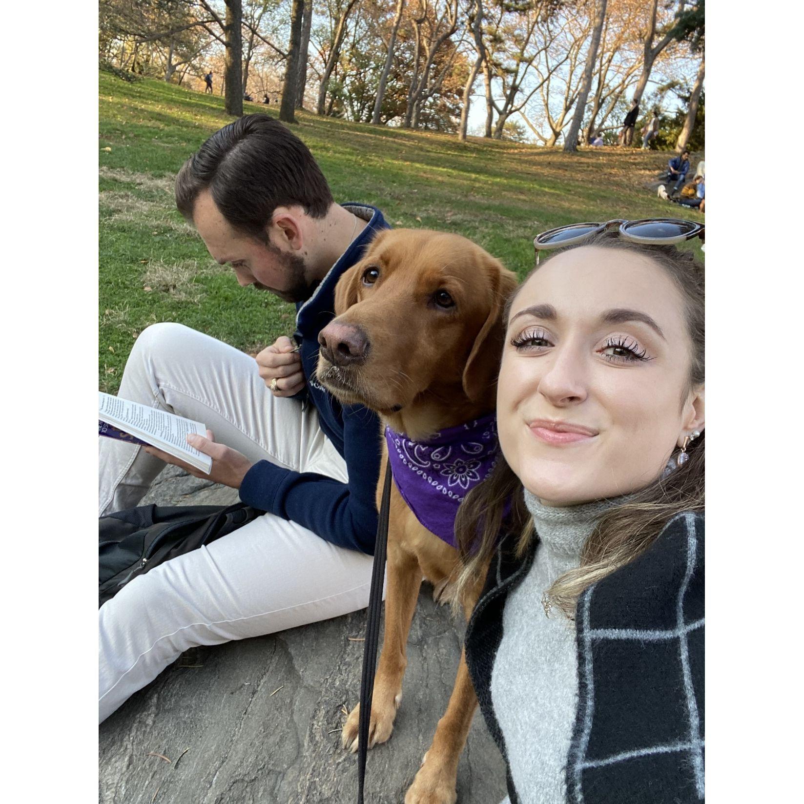 NYC - October 2020 - Central Park walks and reads