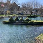 Topiary Park