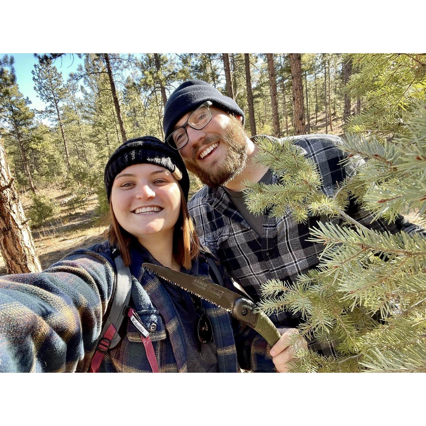cutting down our Christmas tree