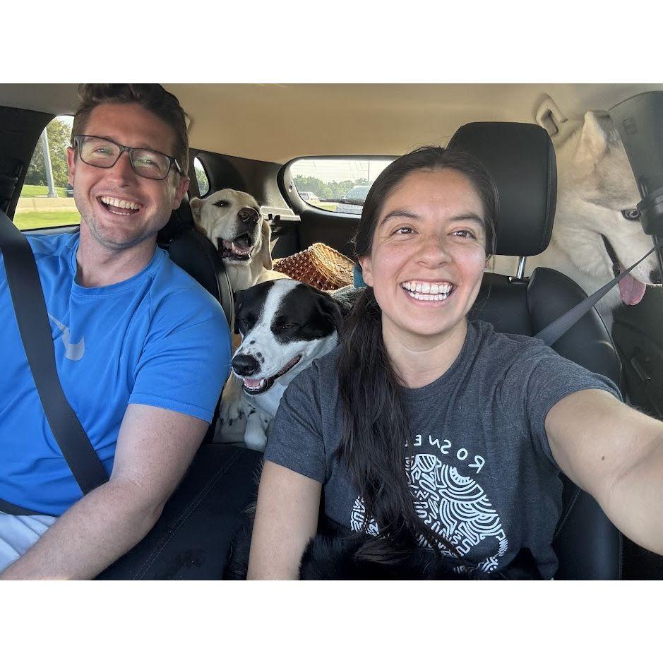 Car full of puppies!