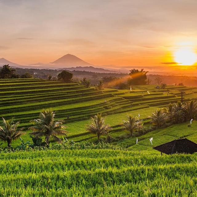 Honeymoon in Bali