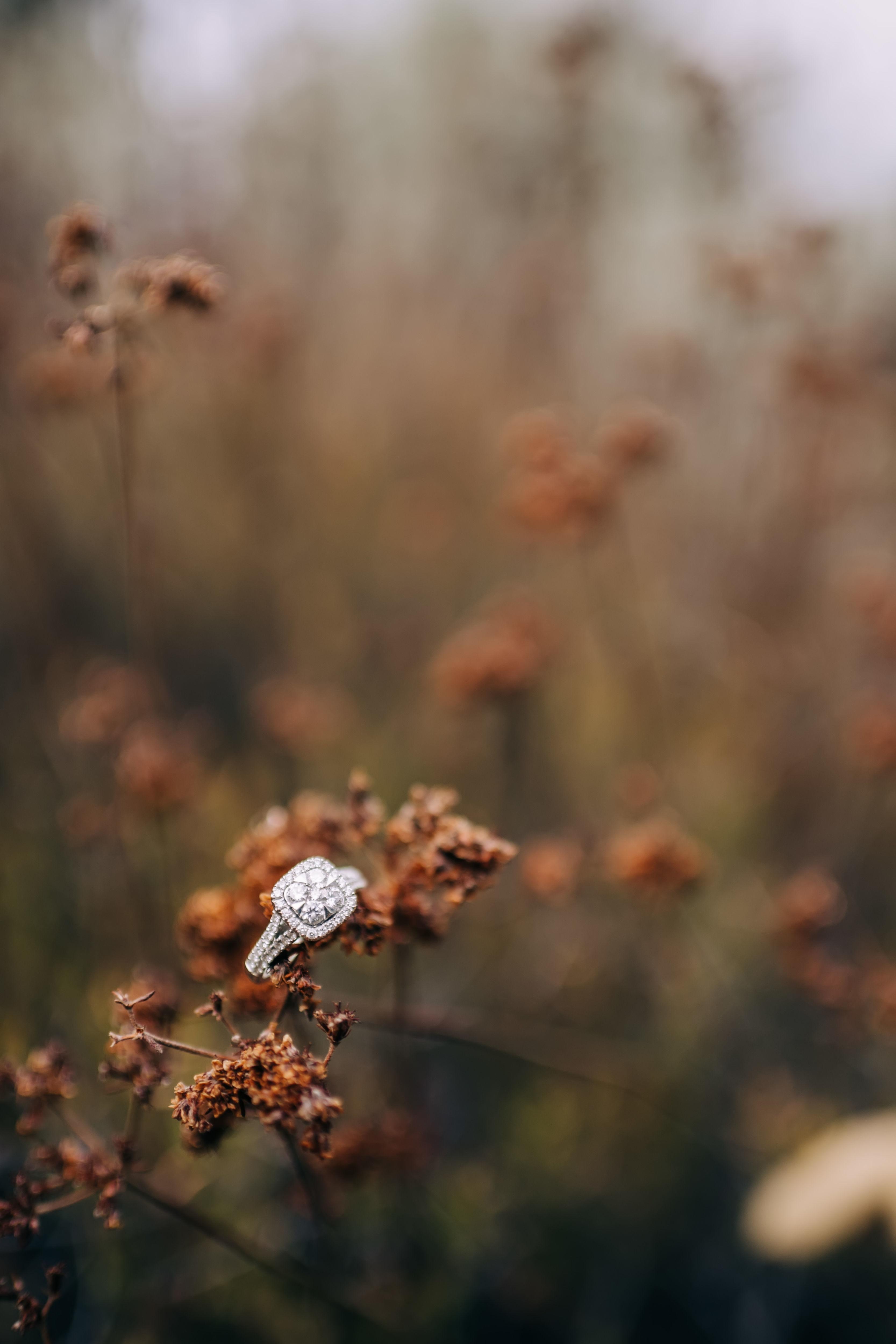 The Wedding Website of Rachel Stewart and Don Inouye