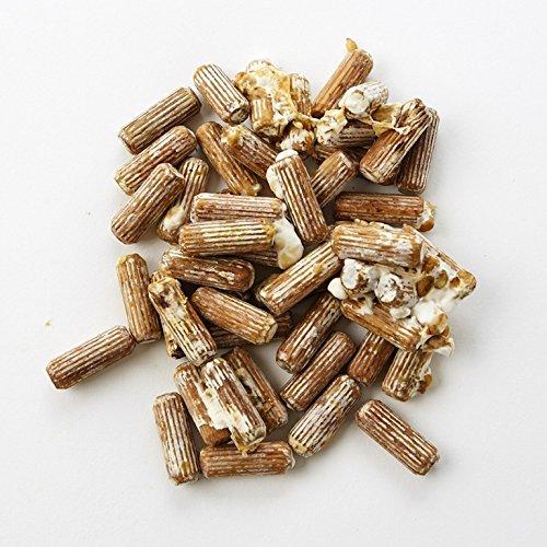 Shiitake Mushrooms Mushroom Mycelium Plug Spawn - 100 Count Plugs