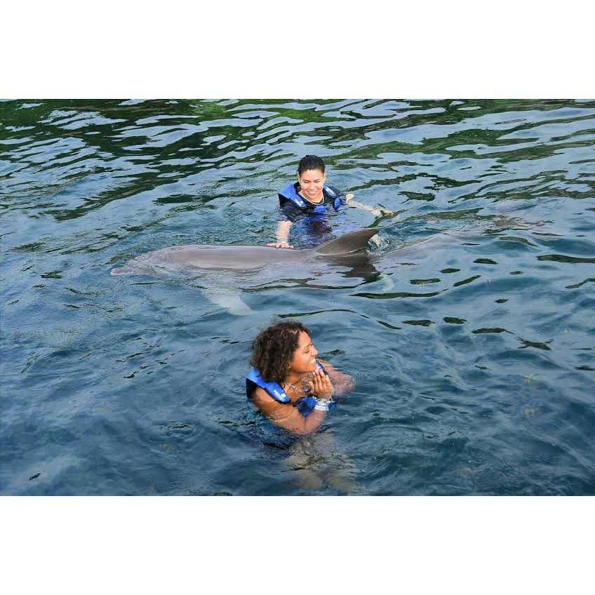 Swimming with the fishes