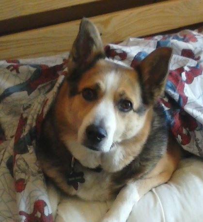 e59b66f7-a795-43c1-854f-6b804e80293b