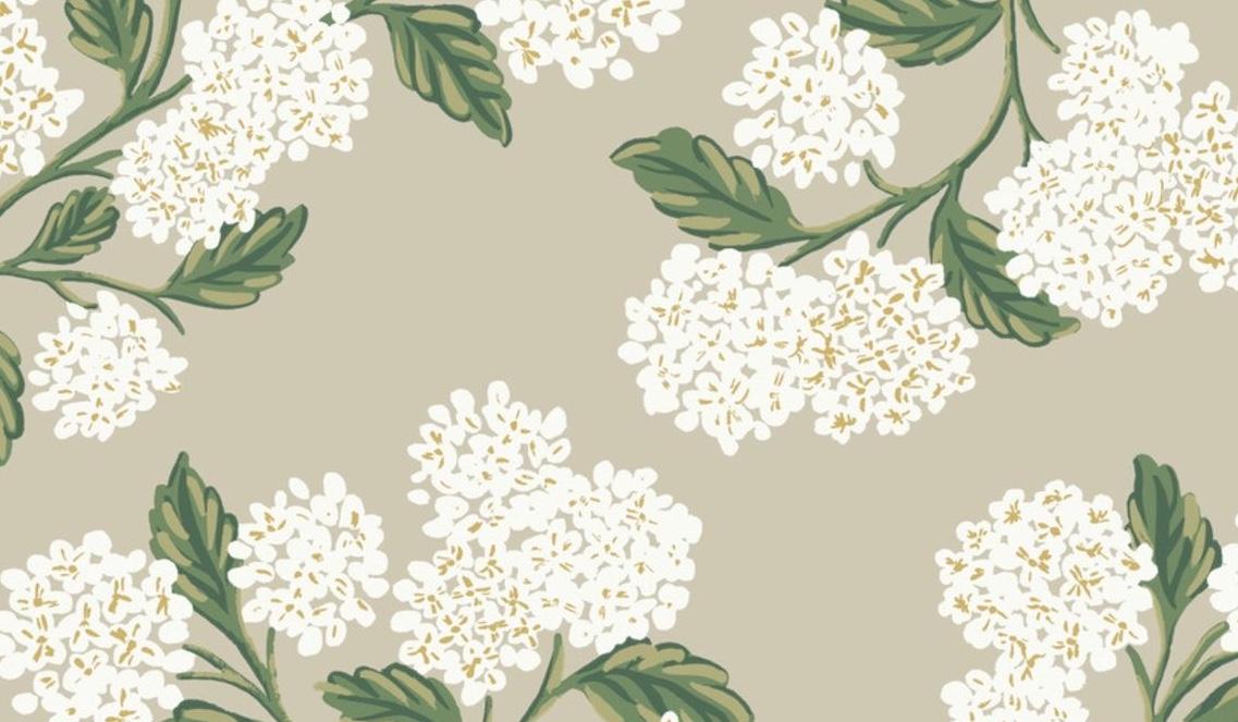 The Wedding Website of Sofia Andersson and Soren Koch-Hutchinson