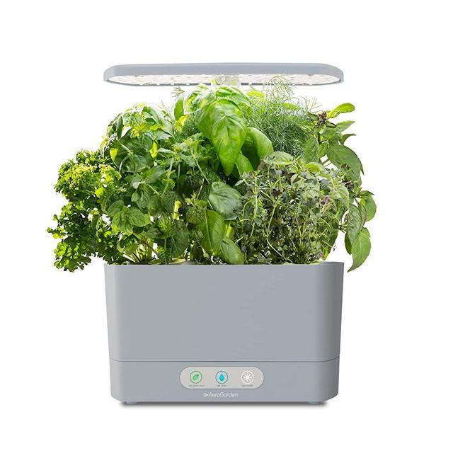 AeroGarden Harvest Indoor Garden, Grow Up to 6 Different Herbs, Vegetables, and Flowers, Seed Pod Kit Not Included, Cool Gray