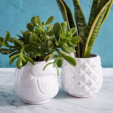 Ceramic Tropical Planters