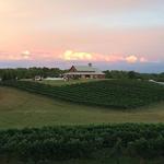 CeNita Vineyards, Winery & Tasting Room
