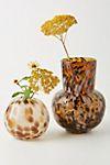 Tortoise Glass Vase