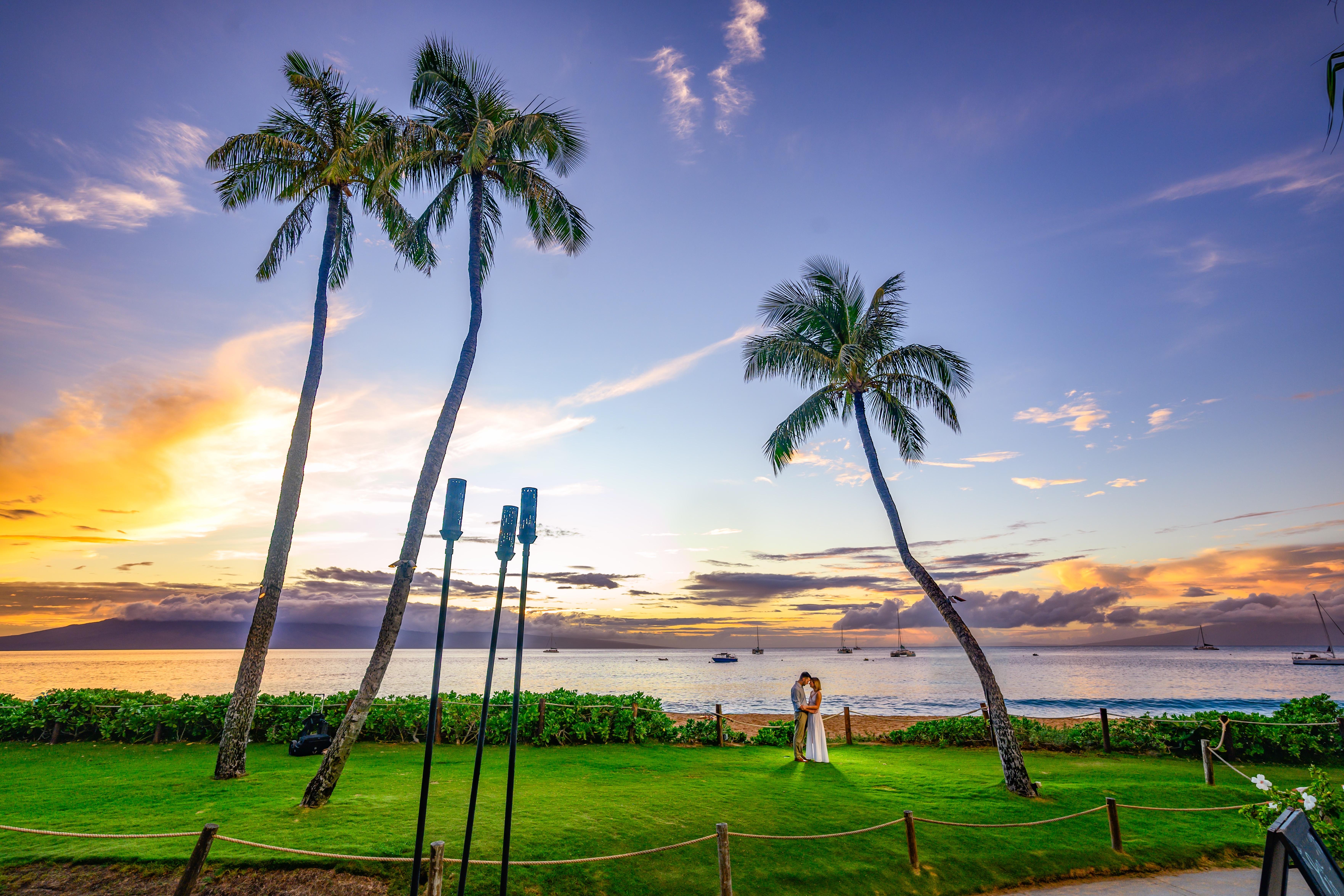 The Wedding Website of Mollie Moses and Nick Robertson