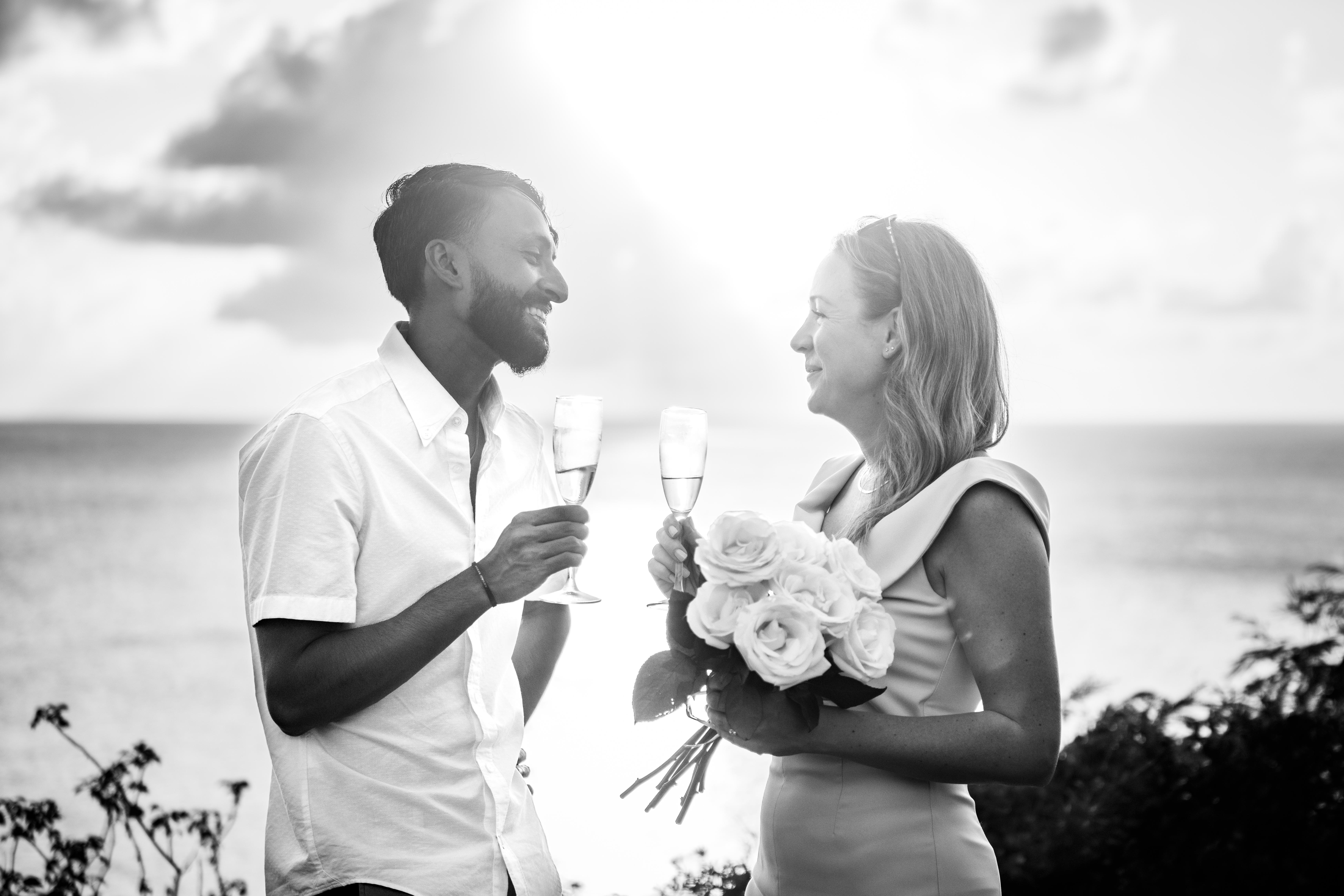 The Wedding Website of Stephanie Fiduk and Gurjit Saini