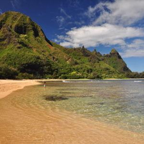 Help Fund our Honeymoon to Kauai!