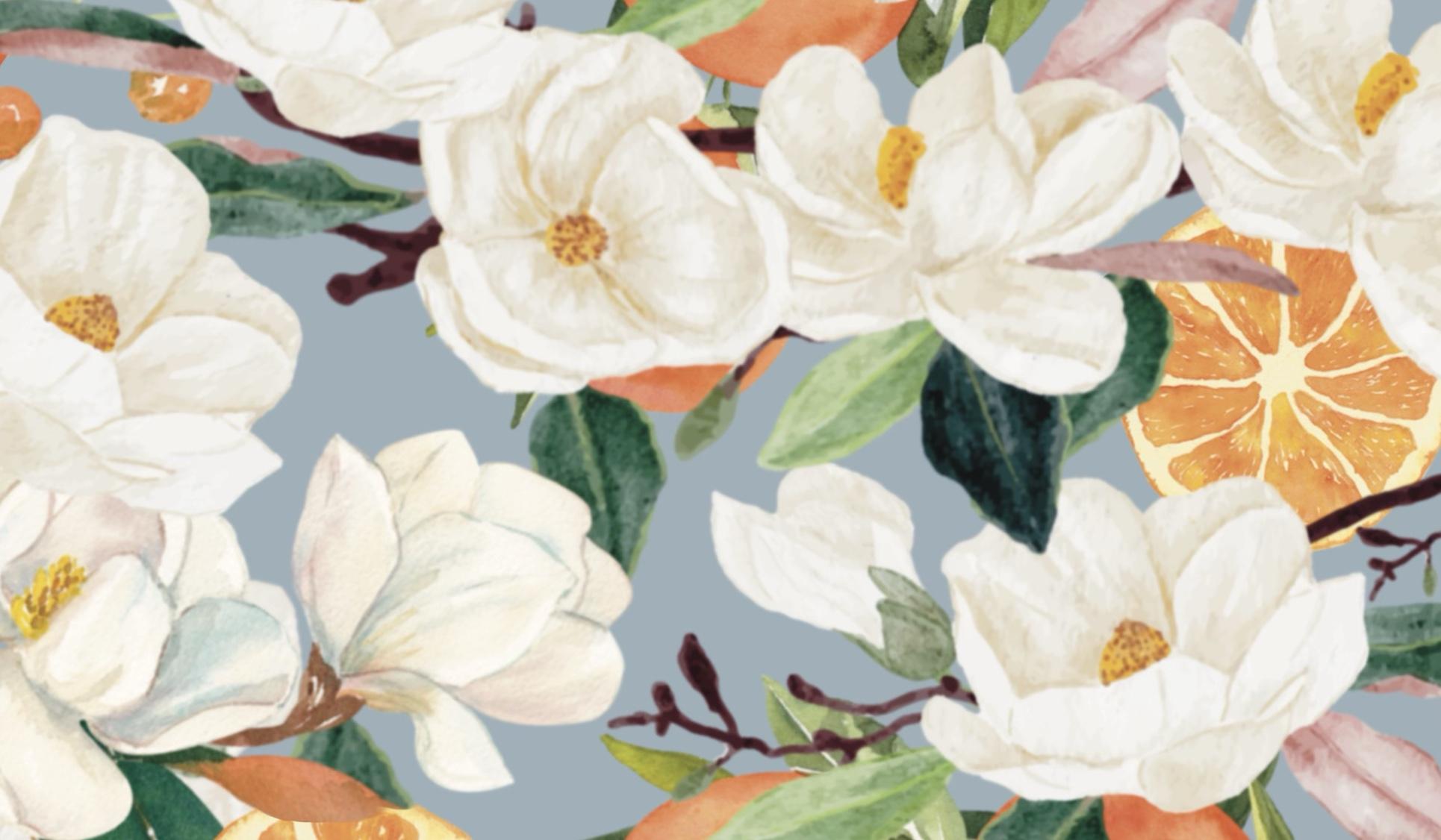 The Wedding Website of Rachel Ransleben and Rollins Olmsted