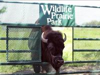 Wildlife Prairie Park