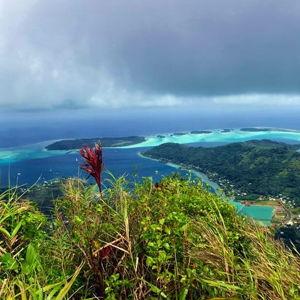 Mount Ohue - Guided Hike to the top of Bora Bora
