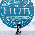 The Hub