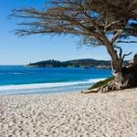 Carmel Beach