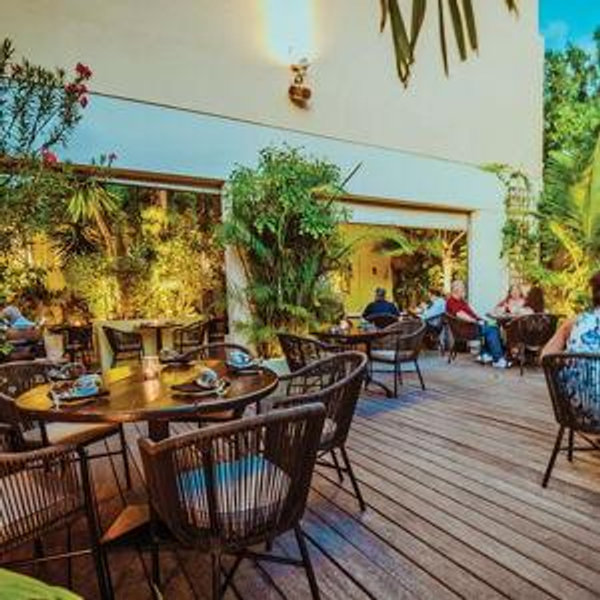Honeymoon Dinner at Wilhelmina