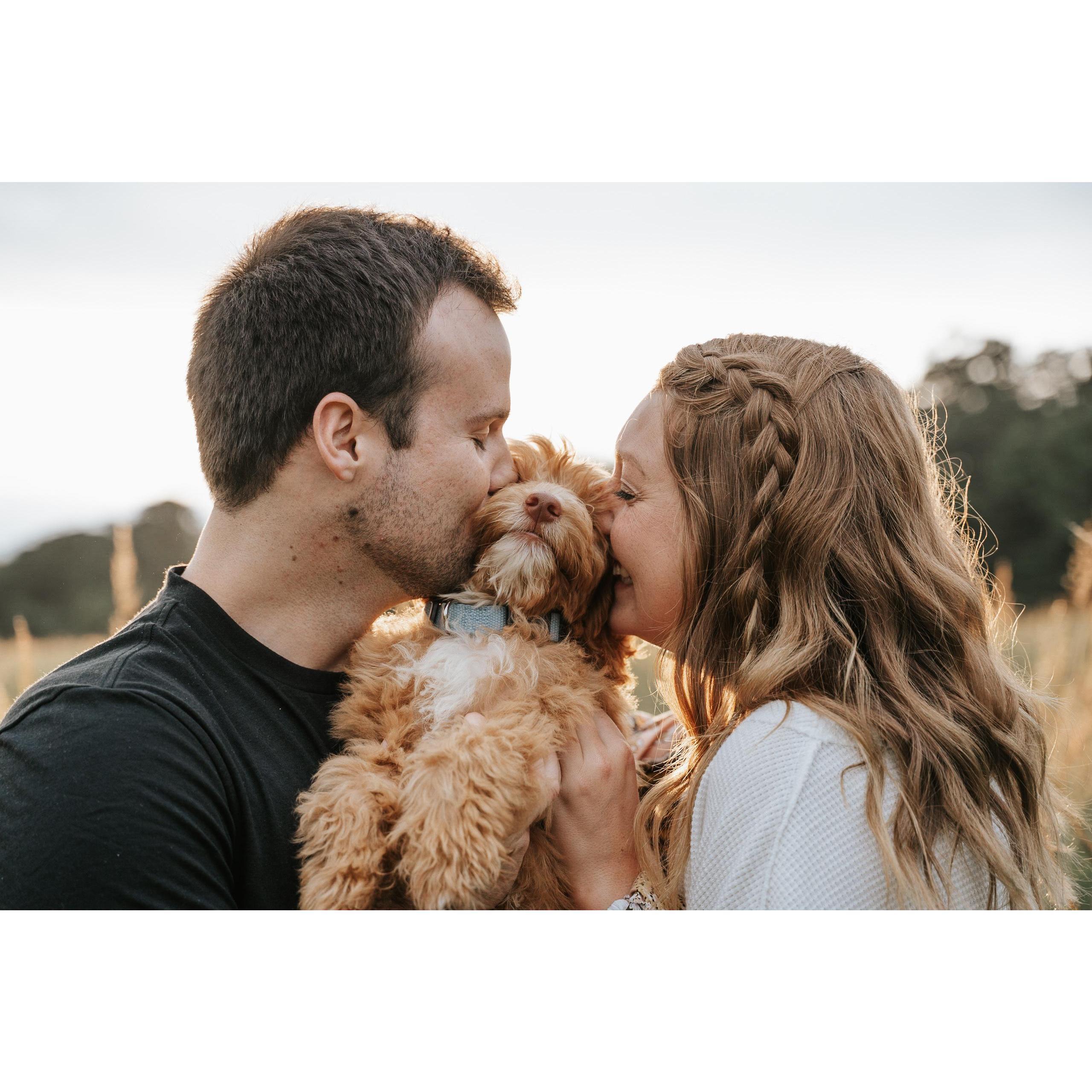 Our puppy, Koda!! October 2019.