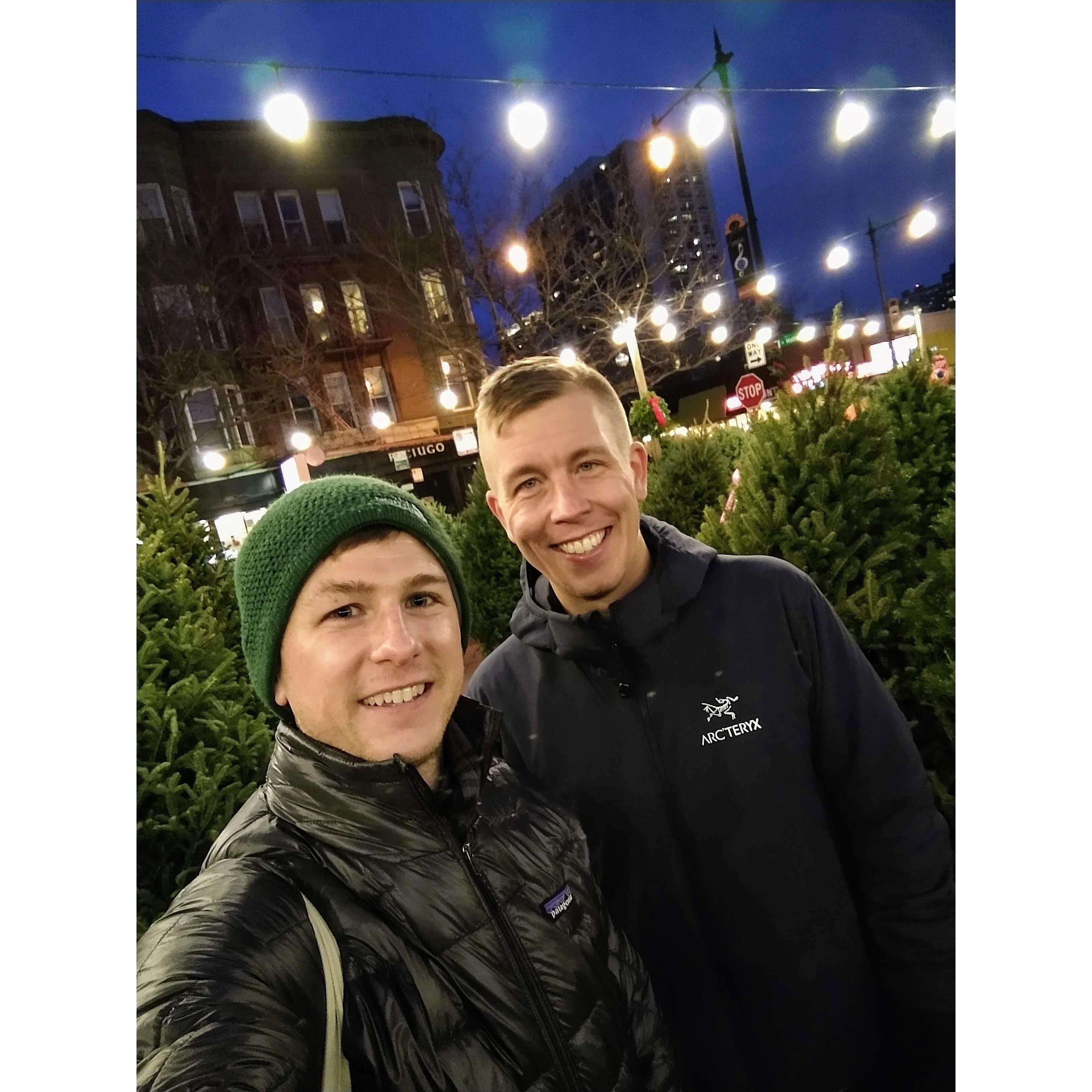 Browsing for our first Christmas tree