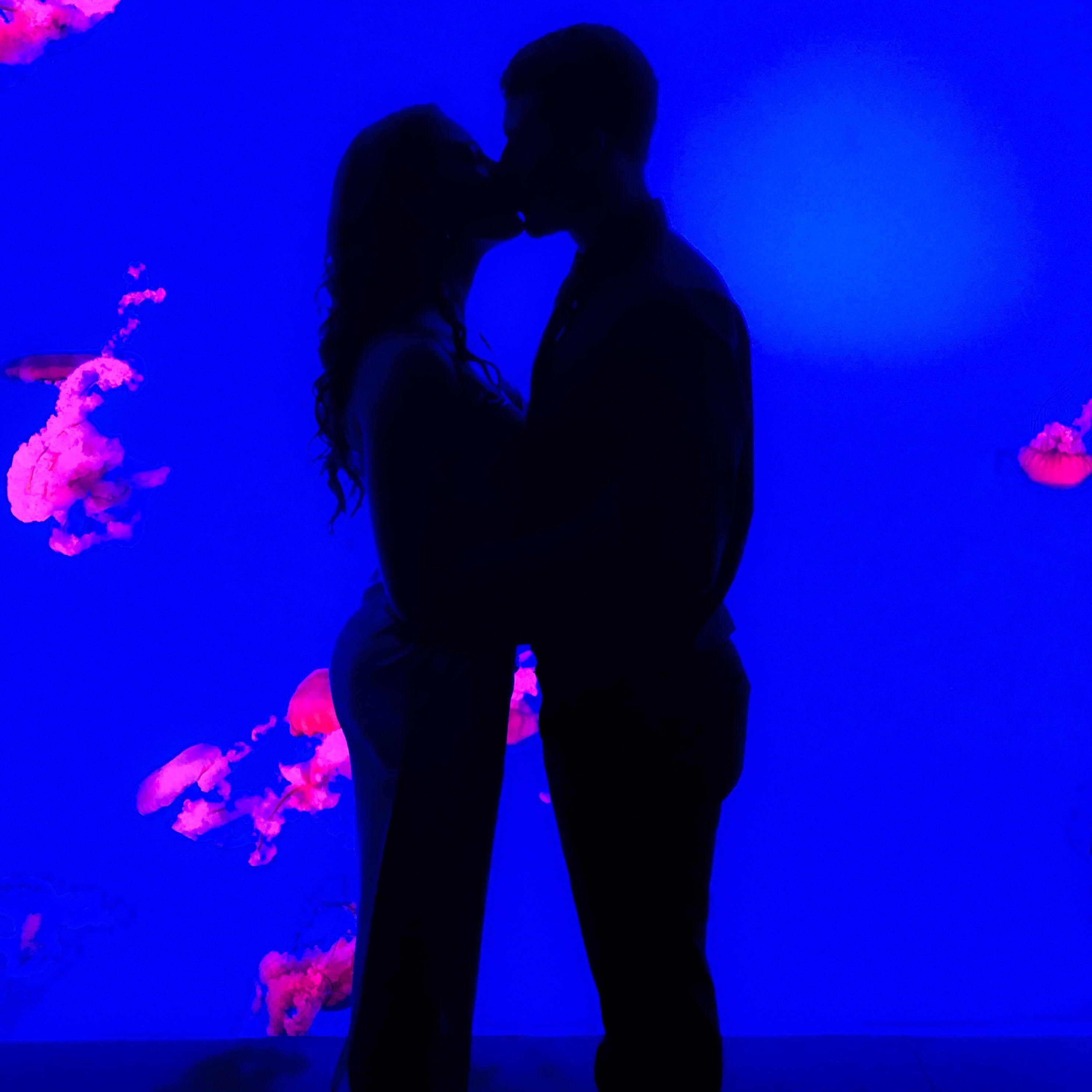 2019 started off swimmingly.