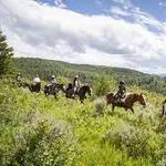 Horse Back Ride at Linn Canyon Ranch