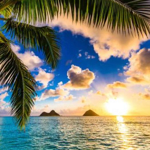 Hawaii - Post Covid