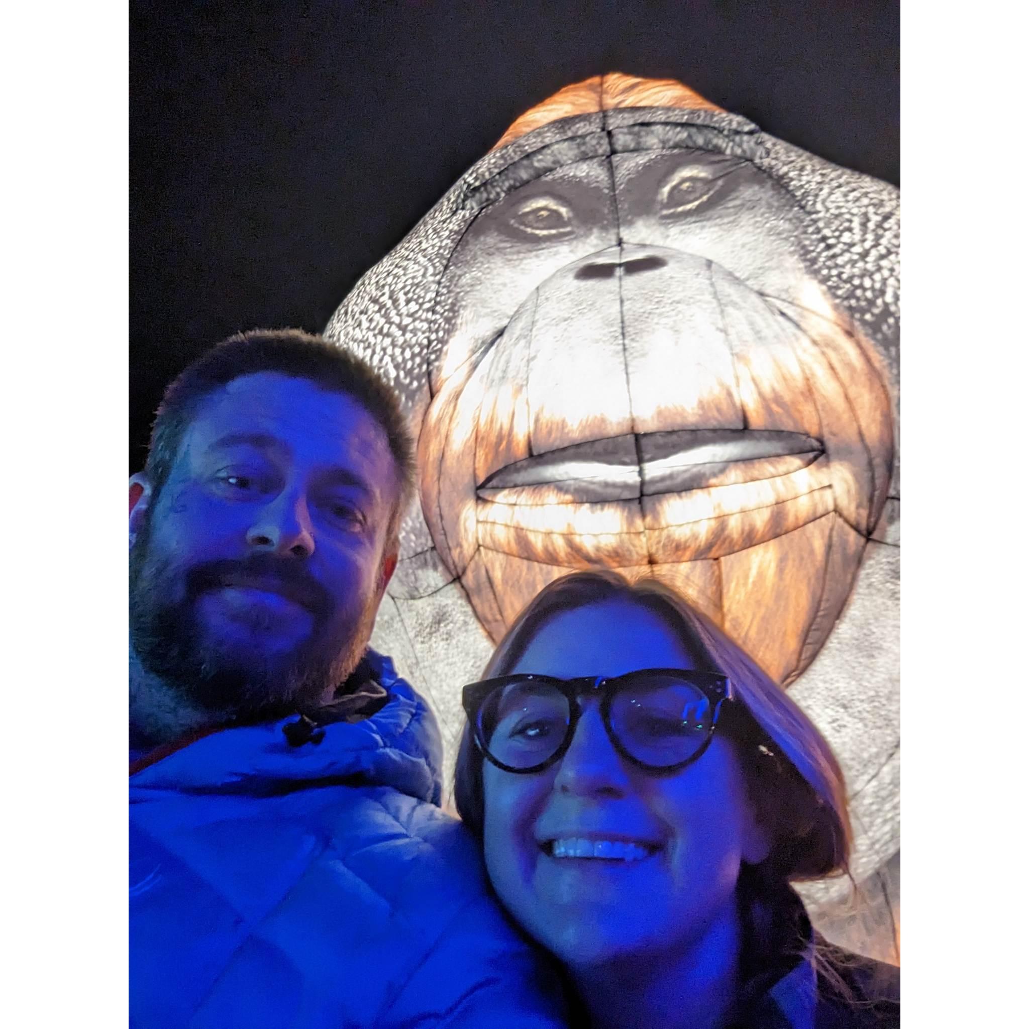 Cheyenne Mountain Zoo