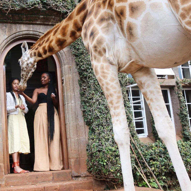 Our Honeymoon