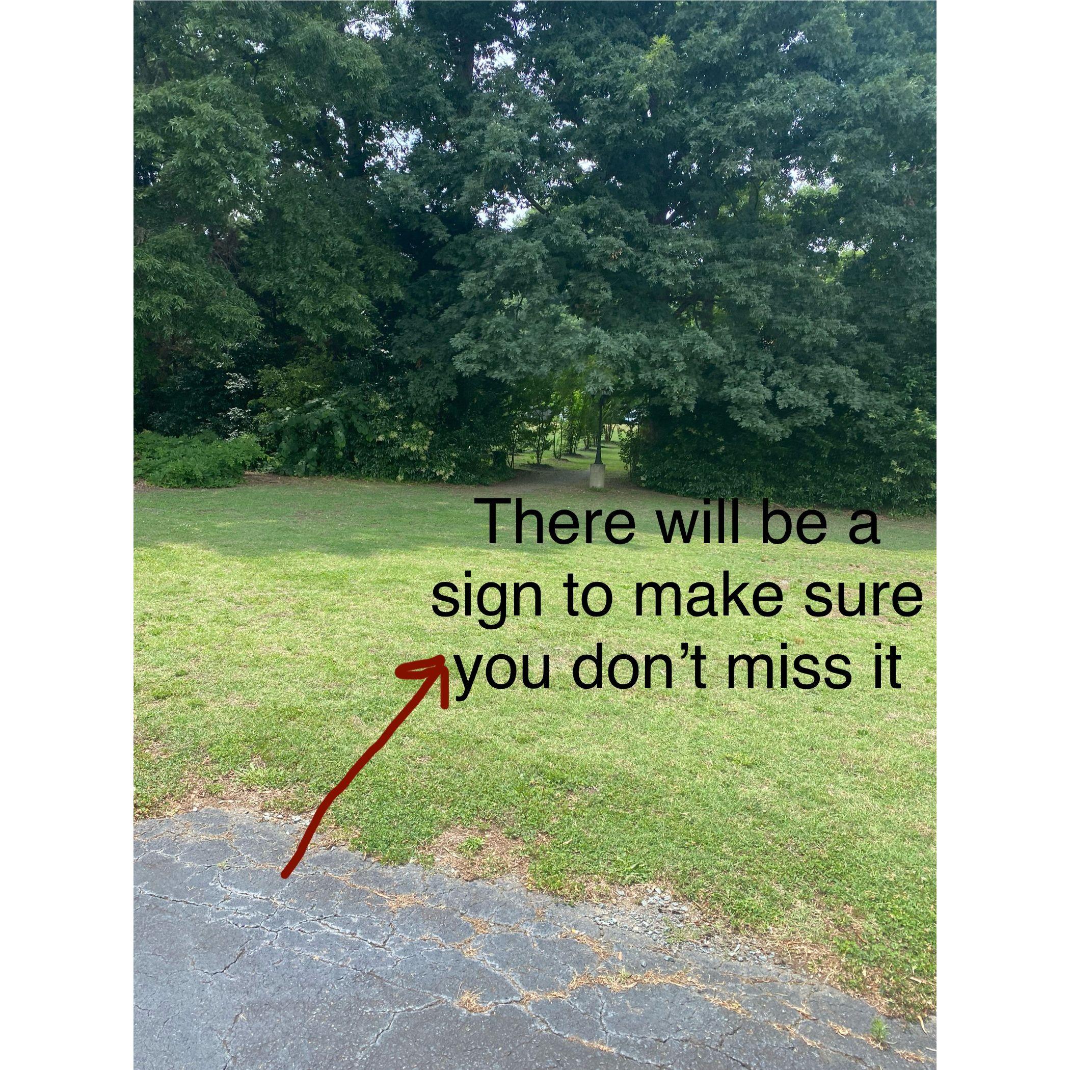 From the back of the parking lot walk towards the bath in the trees.