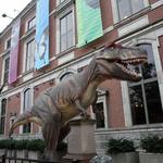 The Academy of Natural Sciences of Drexel University