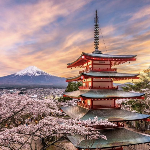 Plane tickets to Tokyo!!!! But we can’t stay there😢 so help us get back!