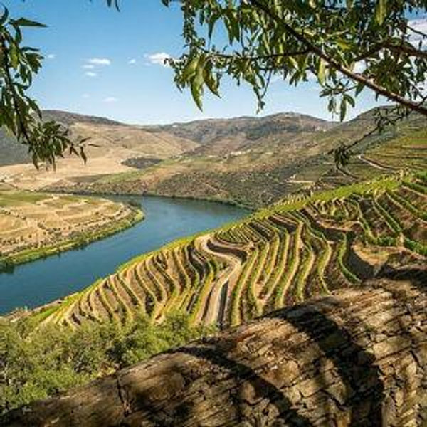 Wine Tour in the Duoro Valley, Portugal
