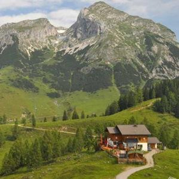 Alps Hut