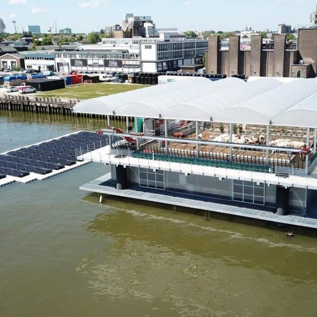 Honeymoon - Netherlands: Sustainable Floating Farm Tour