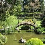The Huntington Library, Art Museum, and Botanical Gardens